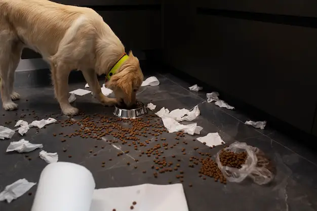 side-view-dog-making-mess-indoors_23-2149598080 Eco-friendly commercial pet waste disposal service for sustainable property management